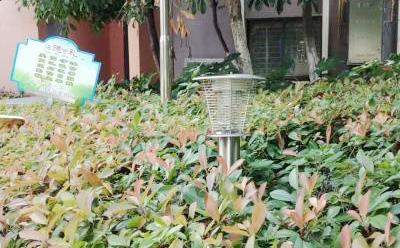 MZ05醫(yī)院戶(hù)外滅蚊燈