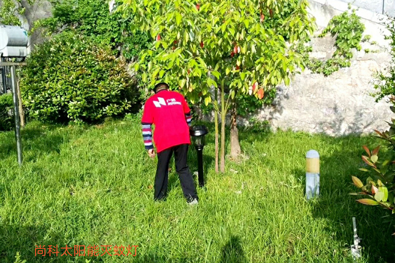 戶外草坪滅蚊器，草坪太陽能滅蚊燈