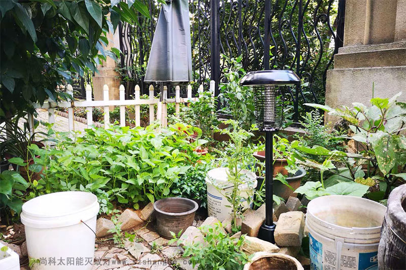 戶(hù)外滅蚊親測(cè)：滅蚊燈效果怎么樣？到底有用嗎