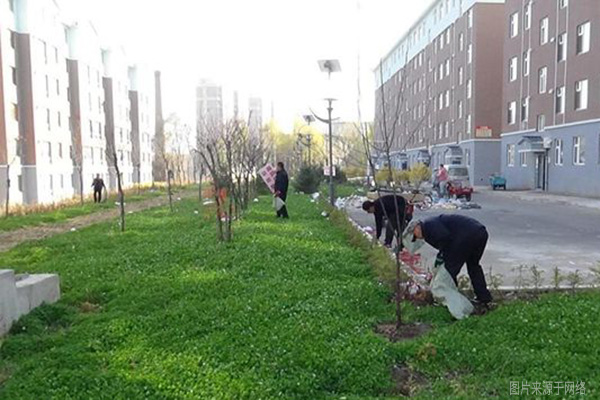 物業(yè)組織清理小區(qū)綠化帶垃圾 物業(yè)組織清理小區(qū)綠化帶垃圾