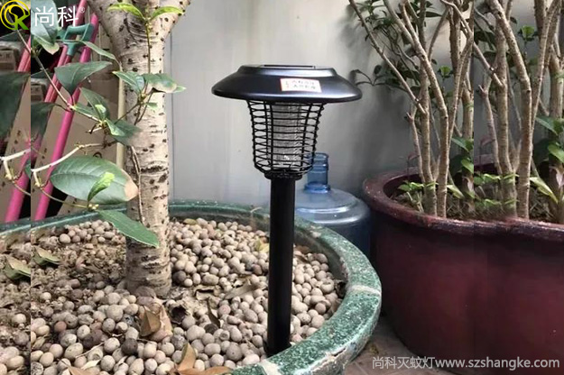 陽(yáng)臺(tái)花盆中的黑色小飛蟲(chóng)怎么消滅？