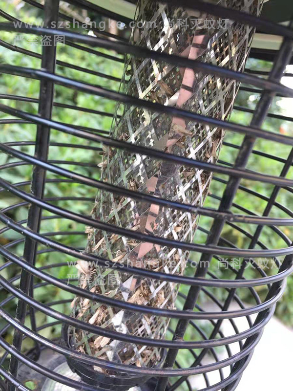 天熱了蚊子來(lái)了，別墅庭院太陽(yáng)能滅蚊燈